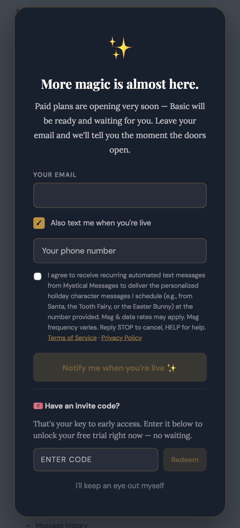Pre-launch overlay consent checkbox screenshot